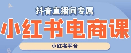 小红书电商高级运营课程，实操教学+案例分析-淘金日记