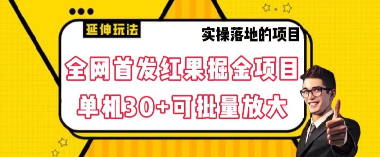 全网首发红果免费短剧掘金项目，单机30+可批量放大【揭秘】-淘金日记