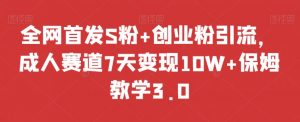 全网首发S粉+创业粉引流，成人赛道7天变现10W+保姆教学3.0【揭秘】-淘金日记