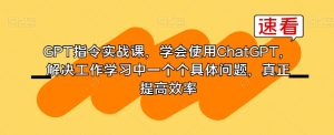 GPT指令实战课,学会使用ChatGPT,解决工作学习中一个个具体问题,真正提高效率-淘金日记