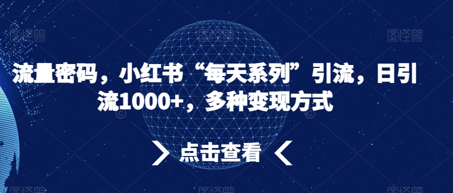 流量密码,小红书“每天系列”引流,日引流1000+,多种变现方式【揭秘】-淘金日记