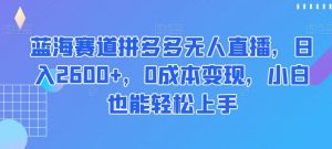 蓝海赛道拼多多无人直播,日入2600+,0成本变现,小白也能轻松上手【揭秘】-淘金日记