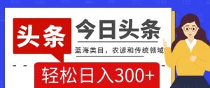 AI头条传统和农谚领域,蓝海类目,搬运+AI优化,轻松日入300+【揭秘】-淘金日记