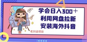 学会日入300＋，利用网盘拉新安装海外抖音保姆级教学【揭秘】-淘金日记