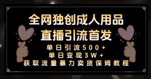 全网独创真人主播+无人直播单日引流500+,橙人用品暴力卖货单日变现3W+保姆似教学2.0【揭秘】-淘金日记