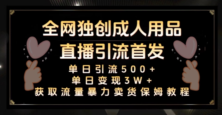 全网独创真人主播+无人直播单日引流500+,橙人用品暴力卖货单日变现3W+保姆似教学2.0【揭秘】-淘金日记