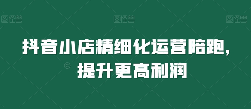 抖音小店精细化运营陪跑,提升更高利润-淘金日记
