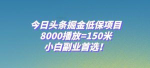 今日头条掘金低保项目，8000播放=150米，小白副业首选【揭秘】-淘金日记