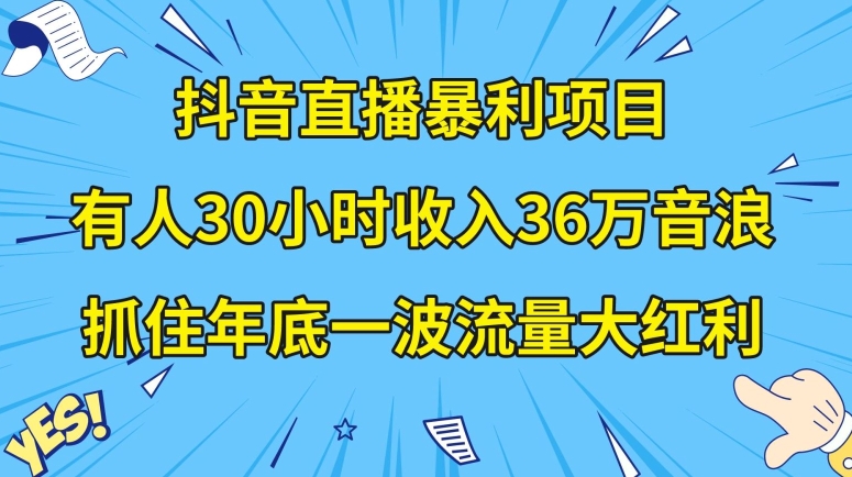 抖音直播暴利项目,有人30小时收入36万音浪,公司宣传片年会视频制作,抓住年底一波流量大红利【揭秘】-淘金日记