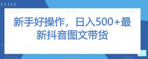 新手好操作,日入500+最新抖音图文带货【揭秘】-淘金日记