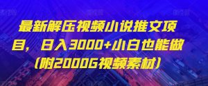 最新解压视频小说推文项目，日入3000+小白也能做（附2000G视频素材）【揭秘】-淘金日记