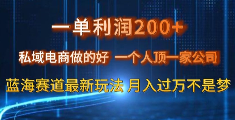 一单利润200私域电商做的好，一个人顶一家公司蓝海赛道最新玩法【揭秘】-淘金日记