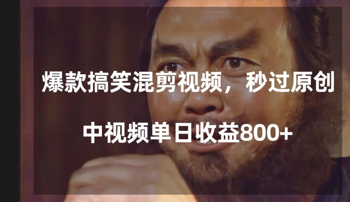 爆款搞笑混剪视频,百分百过原创,单日中视频播放收益800+【揭秘】-淘金日记