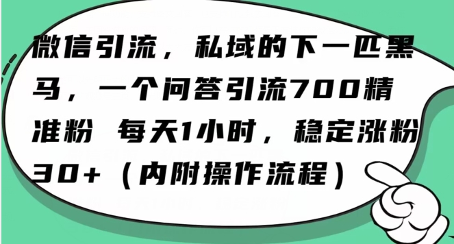 怎么搞精准创业粉？微信新赛道，每天一小时，利用Ai一个问答日引100精准粉-淘金日记
