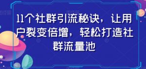 11个社群引流秘诀,让用户裂变倍增,轻松打造社群流量池-淘金日记
