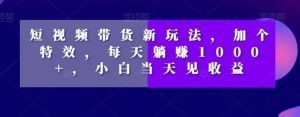 短视频带货新玩法，加个特效，每天躺赚1000+，小白当天见收益【揭秘】-淘金日记