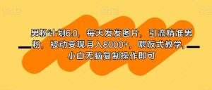 男粉计划6.0,每天发发图片,引流精准男粉,被动变现月入8000+,喂饭式教学,小白无脑复制操作即可-淘金日记