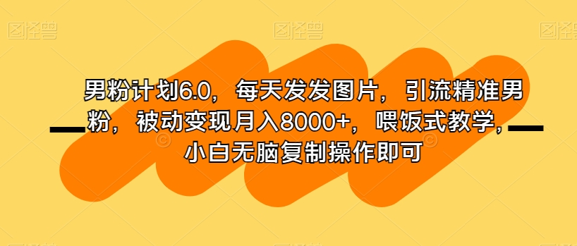 男粉计划6.0，每天发发图片，引流精准男粉，被动变现月入8000+，喂饭式教学，小白无脑复制操作即可-淘金日记