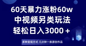 60天暴力涨粉60W，中视频另类玩法，日入3000＋，几分钟一条原创作品多种变现方式-淘金日记
