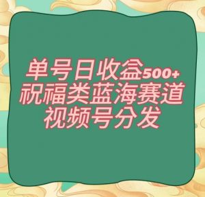 单号日收益500+、祝福类蓝海赛道、视频号分发【揭秘】-淘金日记