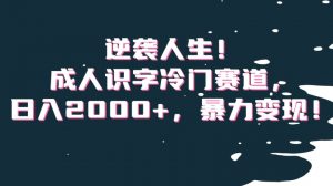 逆袭人生！成人识字冷门赛道，日入2000+，暴力变现！【揭秘】-淘金日记