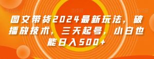 图文带货2024最新玩法，破播放技术，三天起号，小白也能日入500+【揭秘】-淘金日记