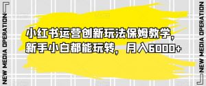小红书运营创新玩法保姆教学,新手小白都能玩转,月入6000+【揭秘】-淘金日记