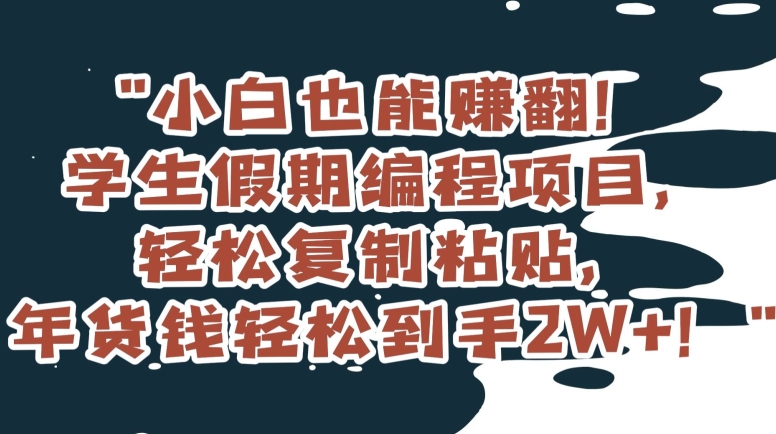 小白也能赚翻!学生假期编程项目,轻松复制粘贴,年货钱轻松到手2W+【揭秘】-淘金日记