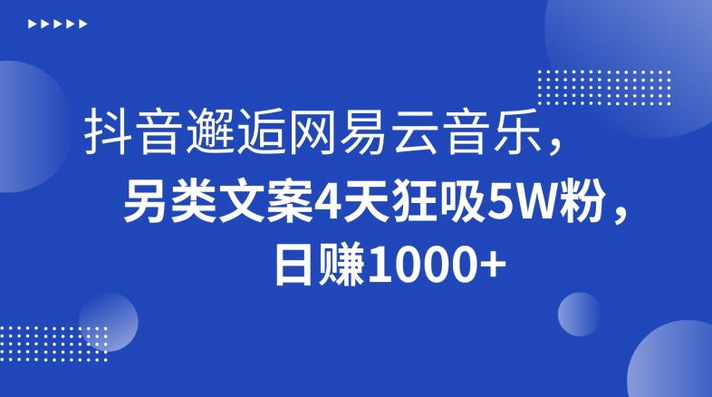 抖音邂逅网易云音乐,另类文案4天狂吸5W粉,日赚1000+【揭秘】-淘金日记