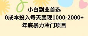 小白副业首选，0成本投入，每天变现1000-2000年底暴力冷门项目【揭秘】-淘金日记