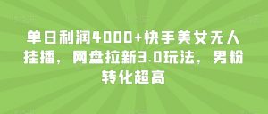 单日利润4000+快手美女无人挂播,网盘拉新3.0玩法,男粉转化超高【揭秘】-淘金日记
