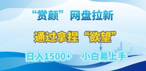 “赏颜”网盘拉新赛道，通过拿捏“欲望”日入1500+，小白易上手【揭秘】-淘金日记
