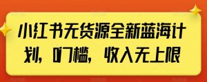 小红书无货源全新蓝海计划，0门槛，收入无上限【揭秘】-淘金日记