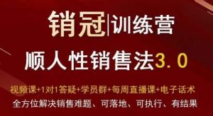 爆款!销冠训练营3.0之顺人性销售法,全方位解决销售难题、可落地、可执行、有结果-淘金日记