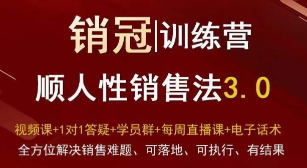 爆款!销冠训练营3.0之顺人性销售法,全方位解决销售难题、可落地、可执行、有结果-淘金日记