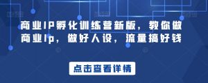 商业IP孵化训练营新版，教你做商业Ip，做好人设，流量搞好钱-淘金日记