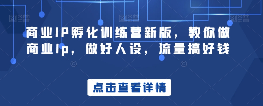 商业IP孵化训练营新版,教你做商业Ip,做好人设,流量搞好钱-淘金日记