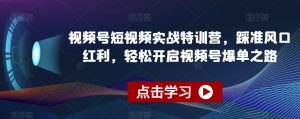 视频号短视频实战特训营,踩准风口红利,轻松开启视频号爆单之路-淘金日记