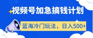 视频号加急搞钱计划，蓝海冷门玩法，日入500+【揭秘】-淘金日记