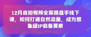12月底短视频全案操盘手线下课,如何打通自然流量,成为想象级IP必备要素-淘金日记