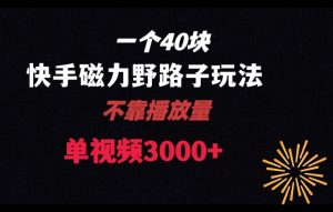 一个40块，快手联合美团磁力新玩法，无视机制野路子玩法，单视频收益4位数【揭秘】-淘金日记