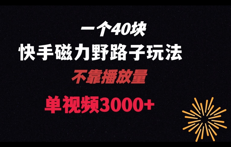 一个40块,快手联合美团磁力新玩法,无视机制野路子玩法,单视频收益4位数【揭秘】-淘金日记