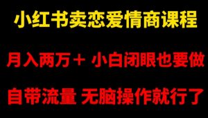 小红书卖恋爱情商课程,月入两万+,小白闭眼也要做,自带流量,无脑操作就行了【揭秘】-淘金日记