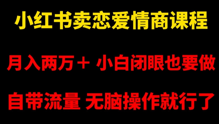 小红书卖恋爱情商课程,月入两万+,小白闭眼也要做,自带流量,无脑操作就行了【揭秘】-淘金日记