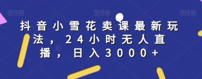 抖音小雪花卖课最新玩法，24小时无人直播，日入3000+【揭秘】-淘金日记