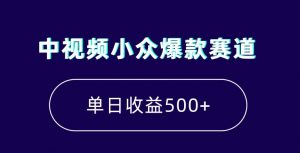 中视频小众爆款赛道，7天涨粉5万+，小白也能无脑操作，轻松月入上万【揭秘】-淘金日记