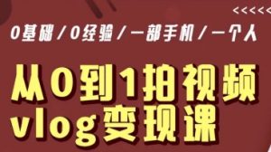 从0到1拍视频vlog变现课,5分钟每天,每月多赚1W-淘金日记