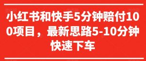 小红书和快手5分钟赔付100项目,最新思路5-10分钟快速下车【仅揭秘】-淘金日记