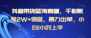 抖音带货蓝海赛道，千粉账号2W+佣金，暴力出单，小白1小时上手【揭秘】-淘金日记