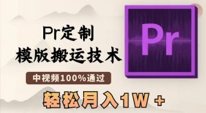 最新Pr定制模版搬运技术，中视频100%通过，几分钟一条视频，轻松月入1W＋【揭秘】-淘金日记